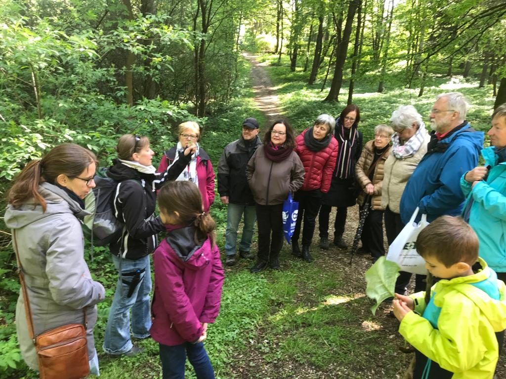 Krauterwanderung Am 05 05 19 Deutsch Franzosischer Freundschaftskreis Neuhausel Sauvigny Les Bois